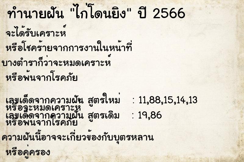 ทำนายฝัน ไก่โดนยิง ทำนายฝัน ไก่โดนยิง