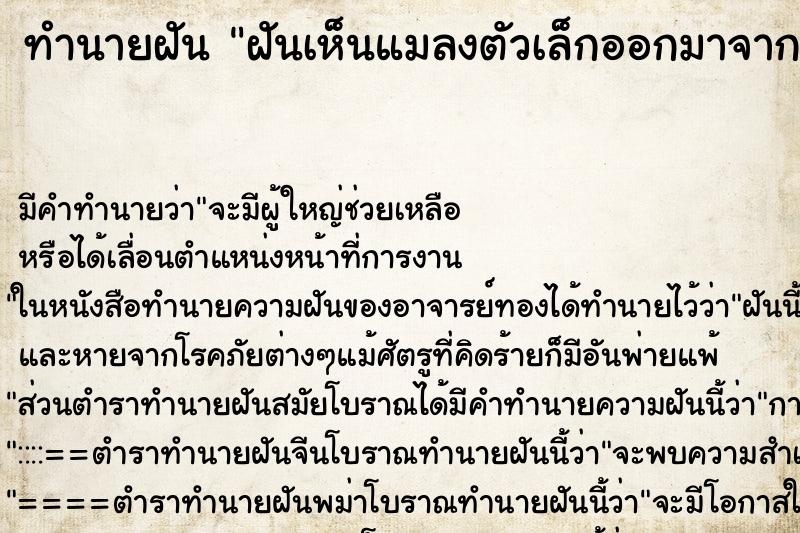 ทำนายฝันฝันเห็นแมลงตัวเล็กออกมาจากตู้เสื้อผ้าเต็มไปหมด ทำนายฝันทำนายฝันฝันเห็นแมลงตัวเล็กออกมาจากตู้เสื้อผ้าเต็มไปหมด