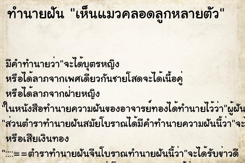 ทำนายฝัน เห็นแมวคลอดลูกหลายตัว ทำนายฝัน เห็นแมวคลอดลูกหลายตัว