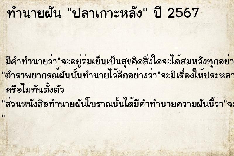 ทำนายฝันปลาเกาะหลัง ทำนายฝันทำนายฝันปลาเกาะหลัง
