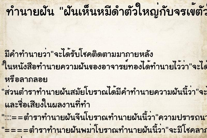 ทำนายฝันฝันเห็นหมีดำตัวใหญ่กับจรเข้ตัวใหญ่ ทำนายฝันทำนายฝันฝันเห็นหมีดำตัวใหญ่กับจรเข้ตัวใหญ่