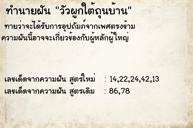 ทำนายฝันวัวผูกใต้ถุนบ้าน ทำนายฝันทำนายฝันวัวผูกใต้ถุนบ้าน