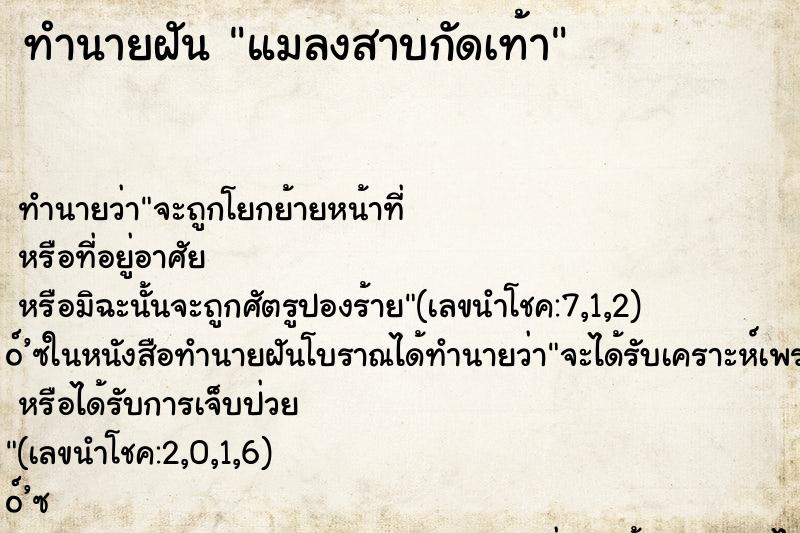 ทำนายฝัน แมลงสาบกัดเท้า ทำนายฝัน แมลงสาบกัดเท้า