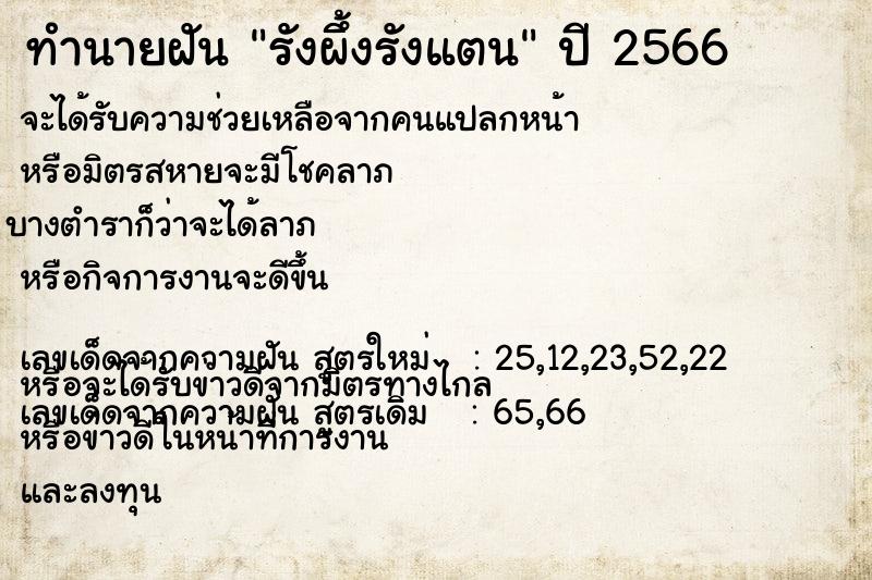 ทำนายฝัน รังผึ้งรังแตน ทำนายฝัน รังผึ้งรังแตน