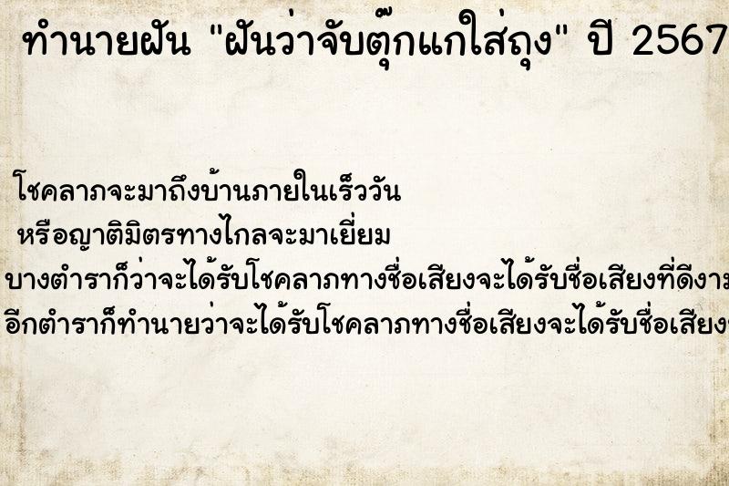 ทำนายฝันทำนายฝันฝันว่าจับตุ๊กแกใส่ถุง