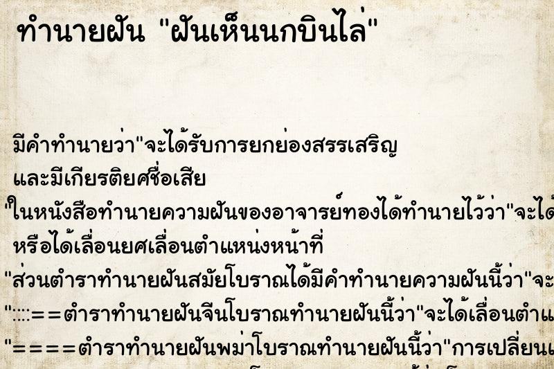 ทำนายฝันฝันเห็นนกบินไล่ ทำนายฝันทำนายฝันฝันเห็นนกบินไล่
