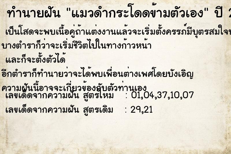 ทำนายฝันทำนายฝันแมวดำกระโดดข้ามตัวเอง