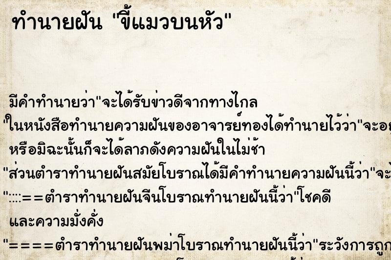 ทำนายฝัน ขี้แมวบนหัว ทำนายฝัน ขี้แมวบนหัว