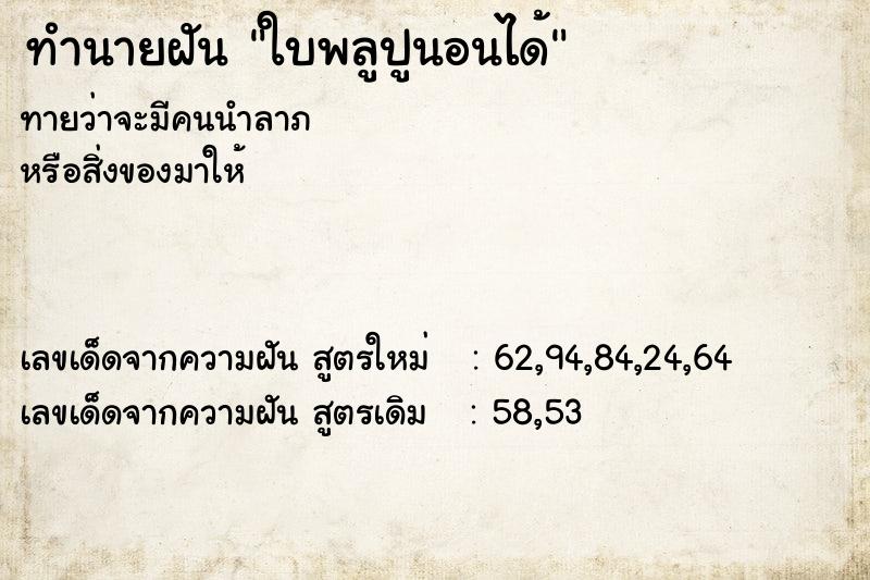 ทำนายฝันทำนายฝันใบพลูปูนอนได้