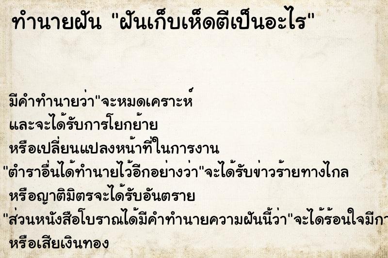 ทำนายฝัน ฝันเก็บเห็ดตีเป็นอะไร ทำนายฝัน ฝันเก็บเห็ดตีเป็นอะไร
