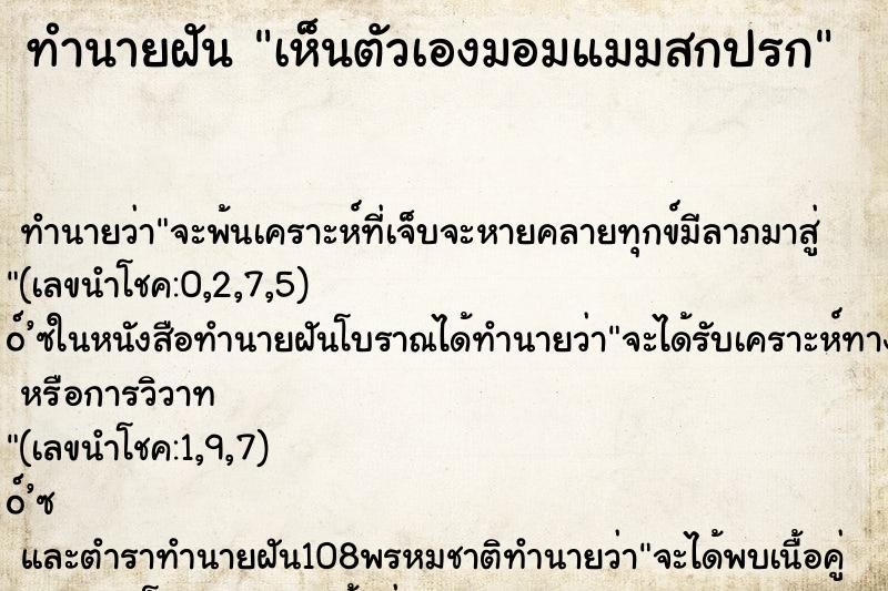 ทำนายฝัน เห็นตัวเองมอมแมมสกปรก ทำนายฝัน เห็นตัวเองมอมแมมสกปรก