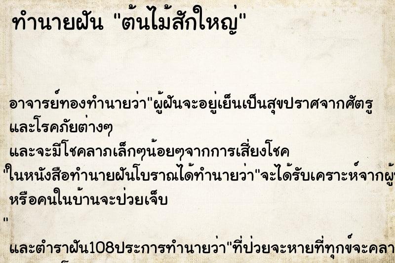 ทำนายฝัน ต้นไม้สักใหญ่ ทำนายฝัน ต้นไม้สักใหญ่