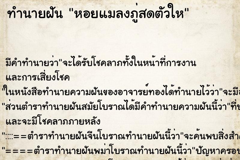 ทำนายฝันหอยแมลงภู่สดตัวให ทำนายฝันทำนายฝันหอยแมลงภู่สดตัวให