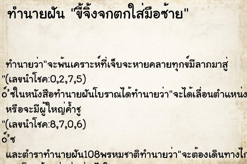 ทำนายฝัน ขี้จิ้งจกตกใส่มือซ้าย