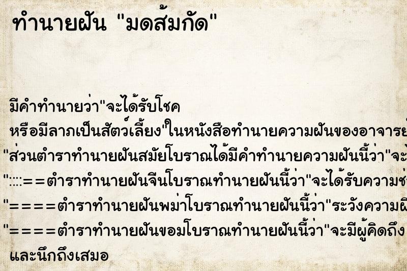 ทำนายฝันมดส้มกัด ทำนายฝันทำนายฝันมดส้มกัด