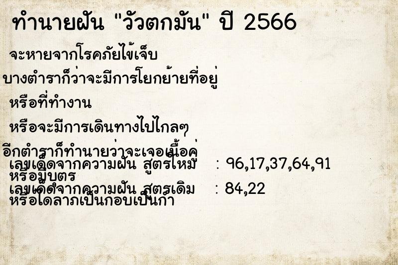 ทำนายฝันวัวตกมัน ทำนายฝันทำนายฝันวัวตกมัน