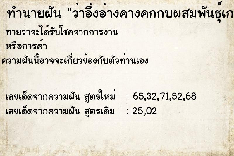 ทำนายฝันว่าอึ่งอ่างคางคกกบผสมพันธุ์เกาะเต็มตัว ทำนายฝันทำนายฝันว่าอึ่งอ่างคางคกกบผสมพันธุ์เกาะเต็มตัว