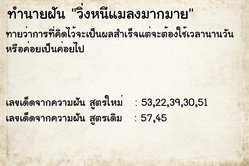 ทำนายฝันวิ่งหนีแมลงมากมาย ทำนายฝันทำนายฝันวิ่งหนีแมลงมากมาย