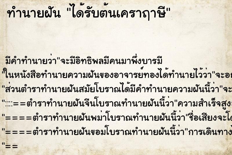 ทำนายฝัน ได้รับต้นเคราฤาษี ตำราโบราณ แม่นที่สุดในโลก