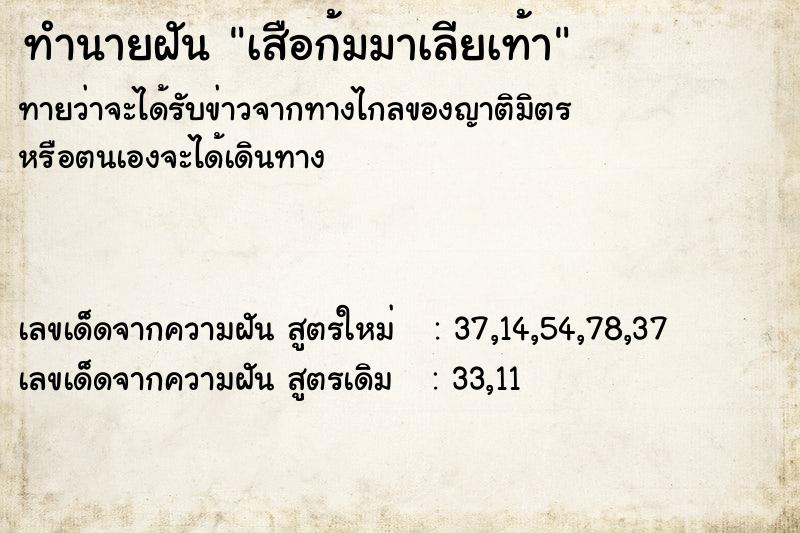 ทำนายฝันทำนายฝันเสือก้มมาเลียเท้า
