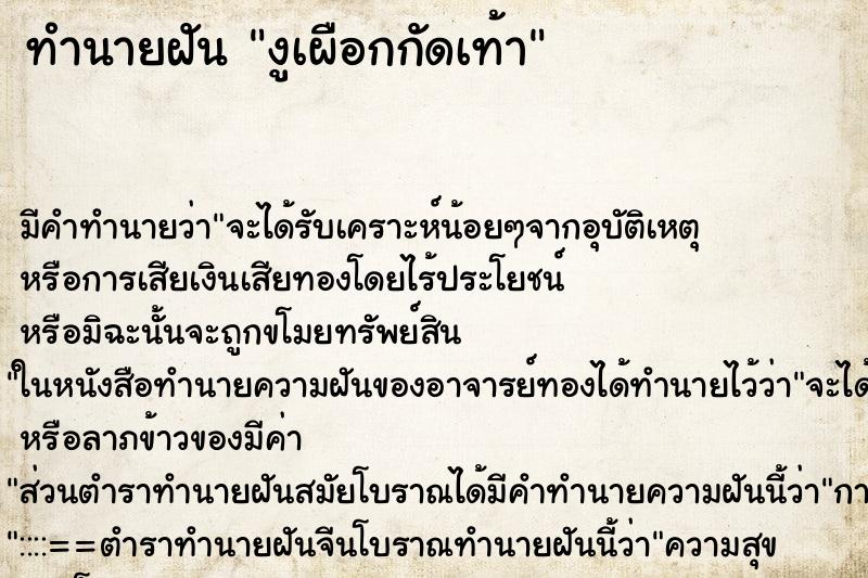 ทำนายฝัน งูเผือกกัดเท้า ทำนายฝัน งูเผือกกัดเท้า