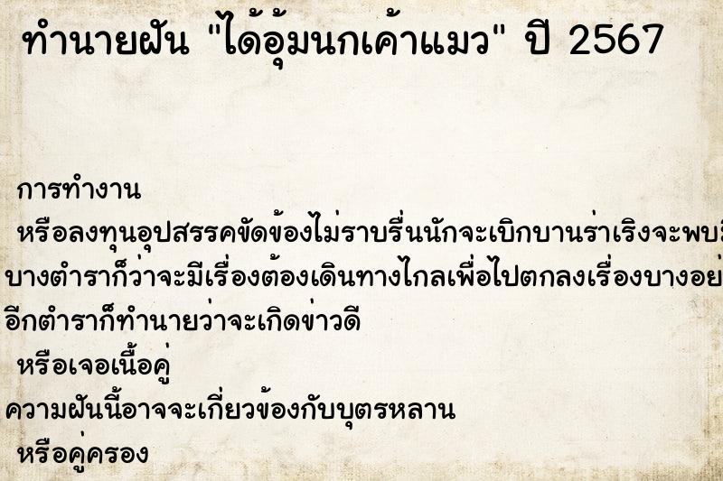 ทำนายฝันได้อุ้มนกเค้าแมว ทำนายฝันทำนายฝันได้อุ้มนกเค้าแมว