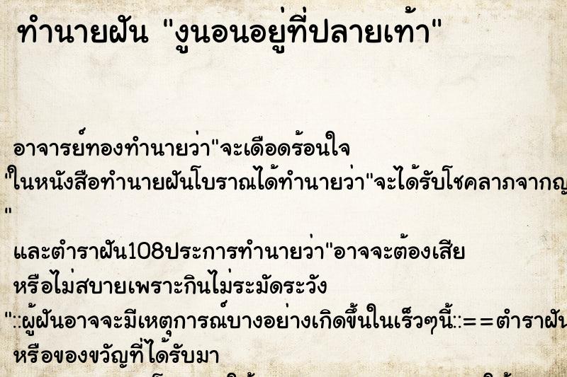 ทำนายฝัน งูนอนอยู่ที่ปลายเท้า ทำนายฝัน งูนอนอยู่ที่ปลายเท้า