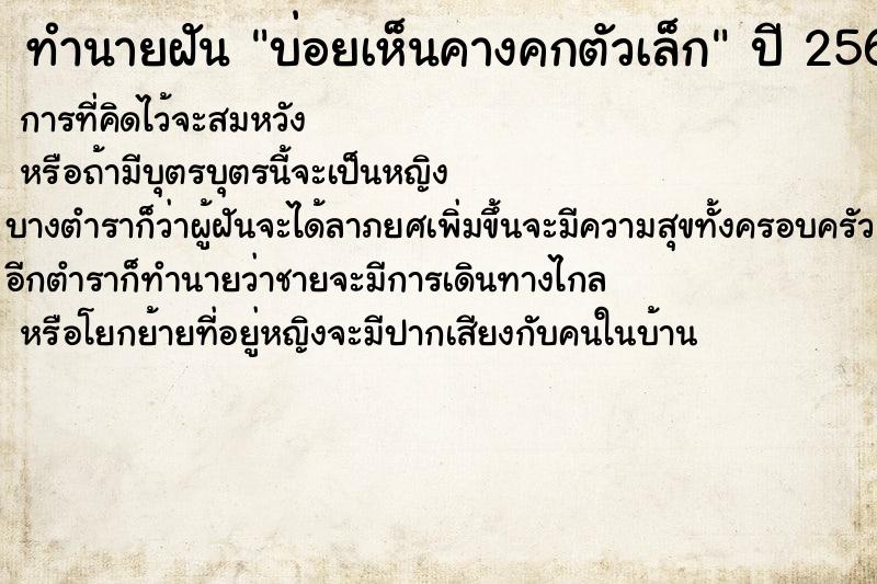 ทำนายฝันทำนายฝันบ่อยเห็นคางคกตัวเล็ก