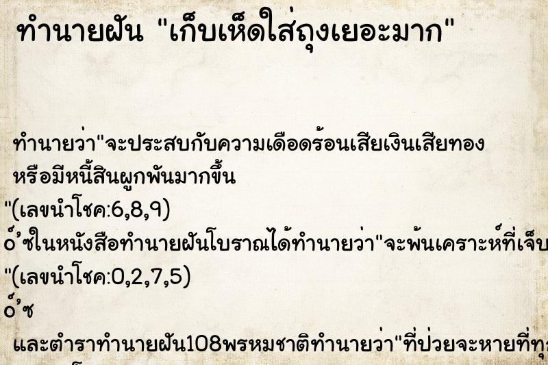 ทำนายฝัน เก็บเห็ดใส่ถุงเยอะมาก ทำนายฝัน เก็บเห็ดใส่ถุงเยอะมาก