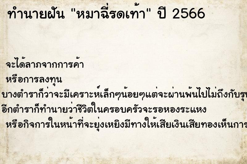 ทำนายฝัน หมาฉี่รดเท้า ทำนายฝัน หมาฉี่รดเท้า