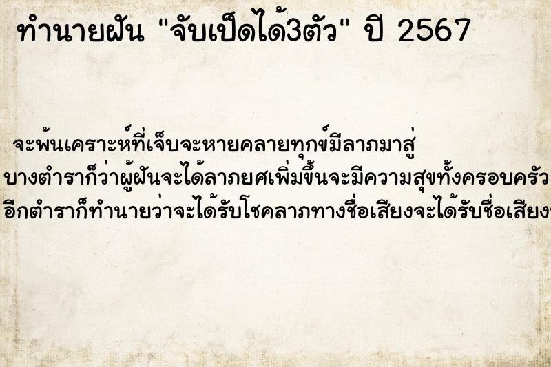 ทำนายฝัน จับเป็ดได้3ตัว