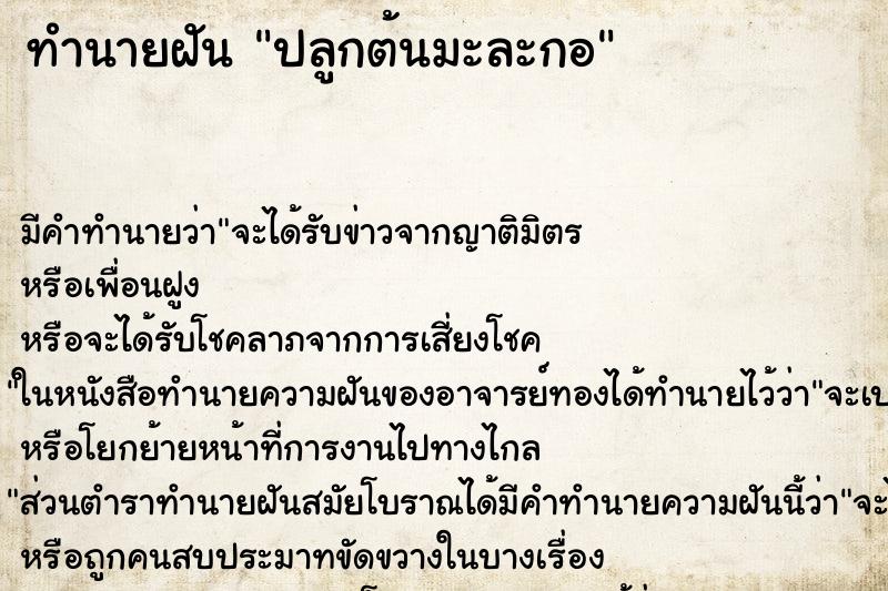 ทำนายฝัน ปลูกต้นมะละกอ ทำนายฝัน ปลูกต้นมะละกอ