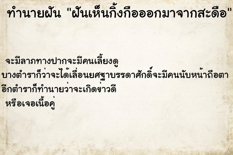 ทำนายฝันทำนายฝันฝันเห็นกิ้งกือออกมาจากสะดือ