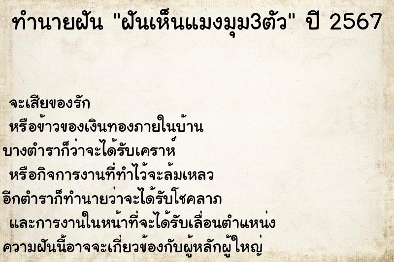 ทำนายฝันฝันเห็นแมงมุม3ตัว ทำนายฝันทำนายฝันฝันเห็นแมงมุม3ตัว