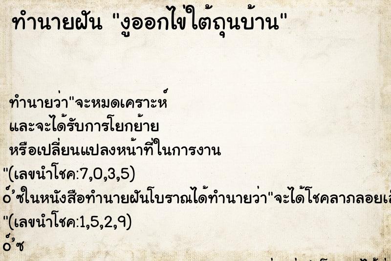 ทำนายฝันงูออกไข่ใต้ถุนบ้าน ทำนายฝันทำนายฝันงูออกไข่ใต้ถุนบ้าน