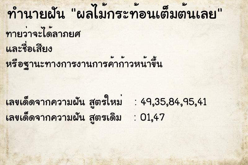 ทำนายฝันทำนายฝันผลไม้กระท้อนเต็มต้นเลย