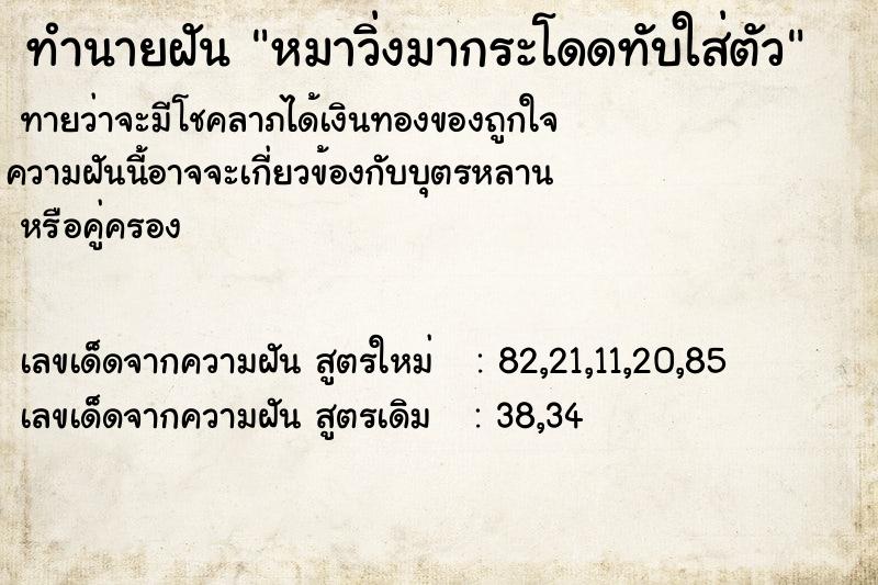 ทำนายฝันหมาวิ่งมากระโดดทับใส่ตัว ทำนายฝันทำนายฝันหมาวิ่งมากระโดดทับใส่ตัว