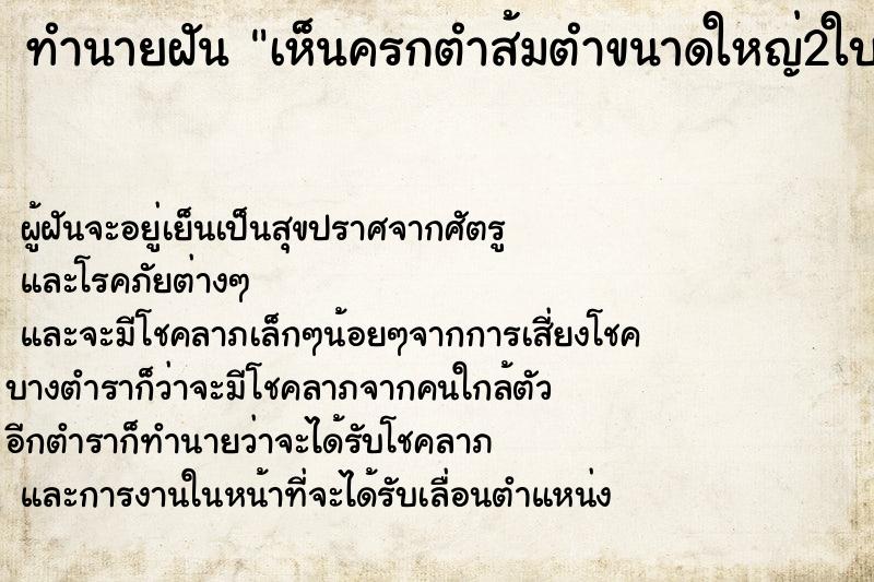 ทำนายฝัน เห็นครกตำส้มตำขนาดใหญ่2ใบ ทำนายฝัน เห็นครกตำส้มตำขนาดใหญ่2ใบ