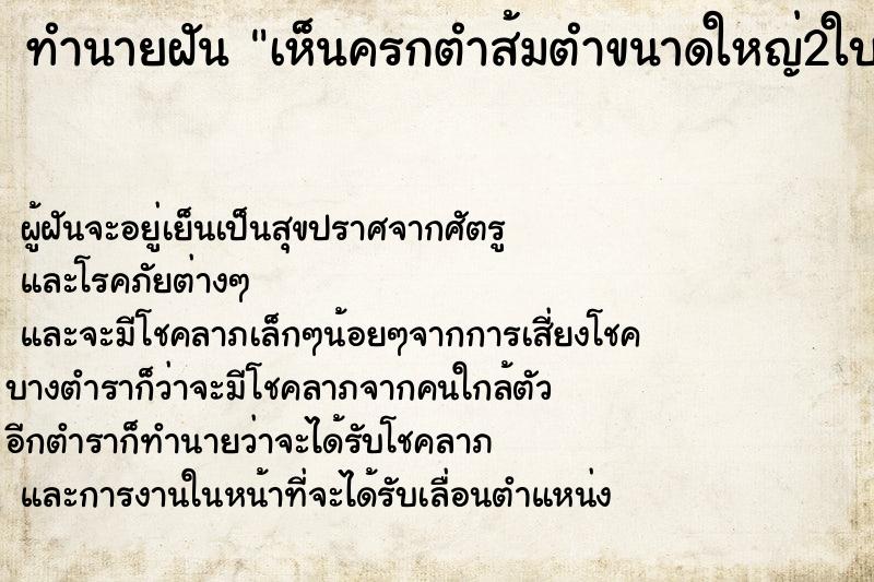 ทำนายฝัน เห็นครกตำส้มตำขนาดใหญ่2ใบ ตำราโบราณ แม่นที่สุดในโลก