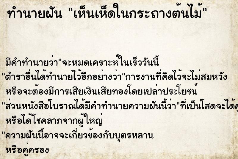 ทำนายฝันทำนายฝันเห็นเห็ดในกระถางต้นไม้