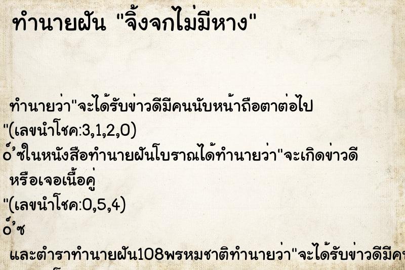 ทำนายฝันจิ้งจกไม่มีหาง ทำนายฝันทำนายฝันจิ้งจกไม่มีหาง