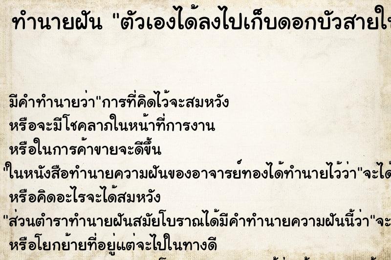 ทำนายฝันทำนายฝันตัวเองได้ลงไปเก็บดอกบัวสายในบึง