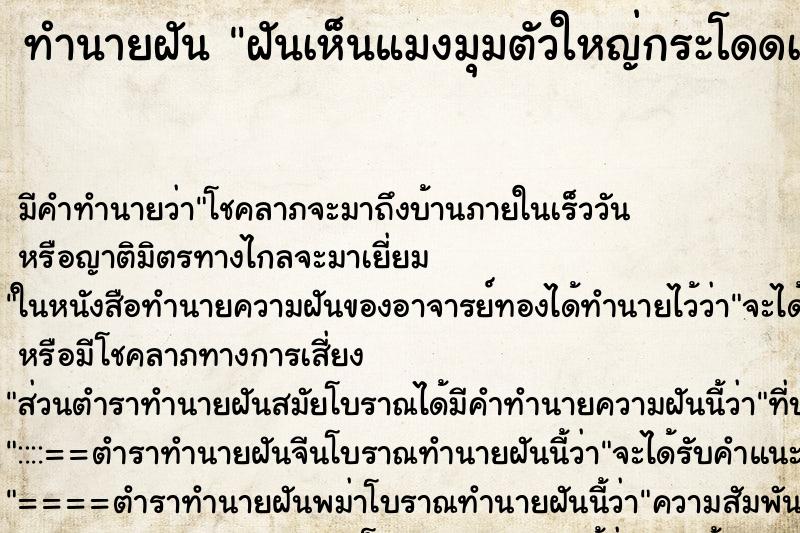 ทำนายฝันฝันเห็นแมงมุมตัวใหญ่กระโดดเกาะแขน ทำนายฝันทำนายฝันฝันเห็นแมงมุมตัวใหญ่กระโดดเกาะแขน
