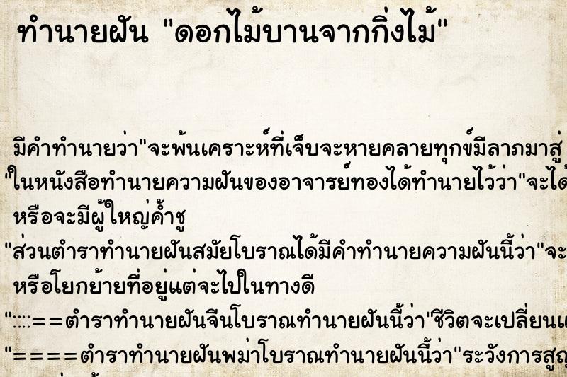 ทำนายฝันทำนายฝันดอกไม้บานจากกิ่งไม้