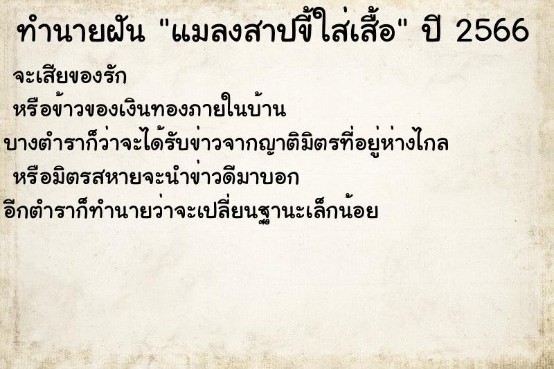 ทำนายฝันทำนายฝันแมลงสาปขี้ใส่เสื้อ