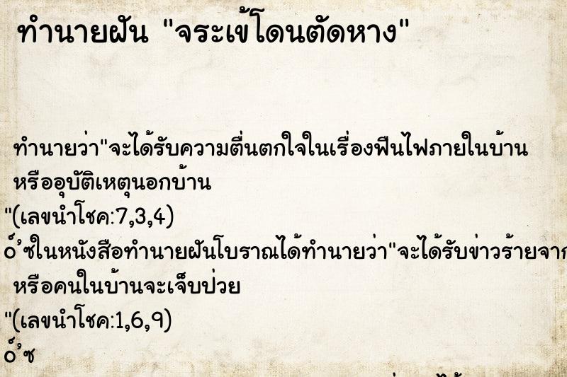 ทำนายฝันทำนายฝันจระเข้โดนตัดหาง