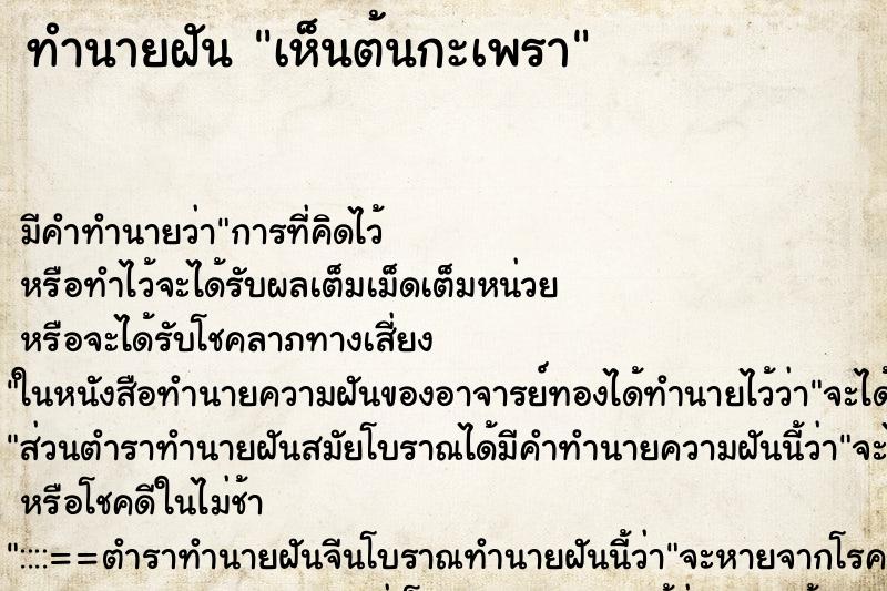 ทำนายฝัน เห็นต้นกะเพรา ทำนายฝัน เห็นต้นกะเพรา