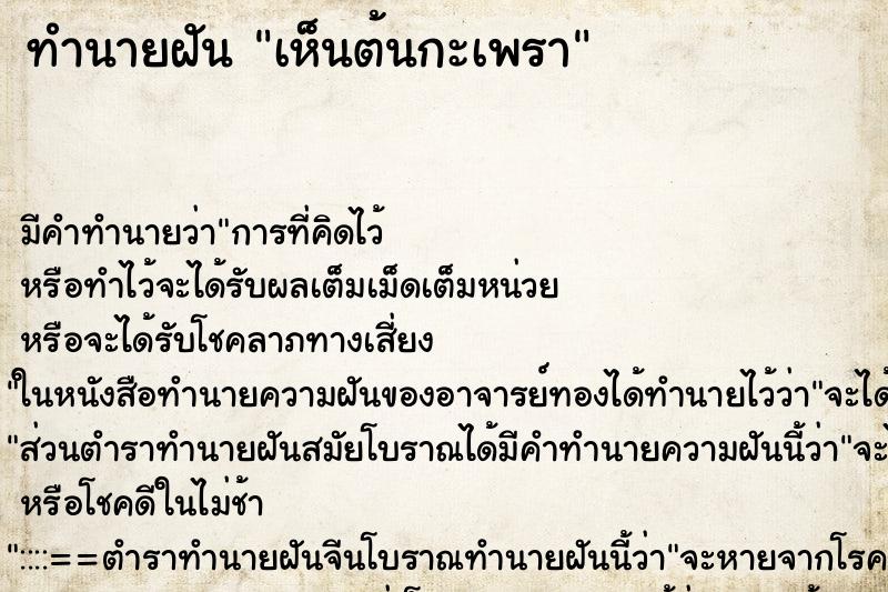 ทำนายฝัน เห็นต้นกะเพรา ตำราโบราณ แม่นที่สุดในโลก