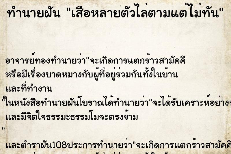 ทำนายฝันเสือหลายตัวไล่ตามแต่ไม่ทัน ทำนายฝันทำนายฝันเสือหลายตัวไล่ตามแต่ไม่ทัน