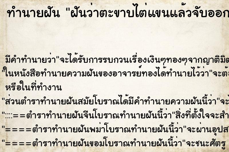 ทำนายฝัน ฝันว่าตะขาบไต่แขนแล้วจับออก ทำนายฝัน ฝันว่าตะขาบไต่แขนแล้วจับออก